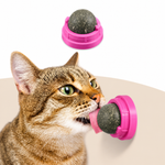 BOLA GIRATORIA PARA GATOS + ENVIO GRATIS