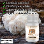 Melena de León VidaNova + ENVIO GRATIS