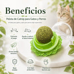 BOLA GIRATORIA PARA GATOS + ENVIO GRATIS