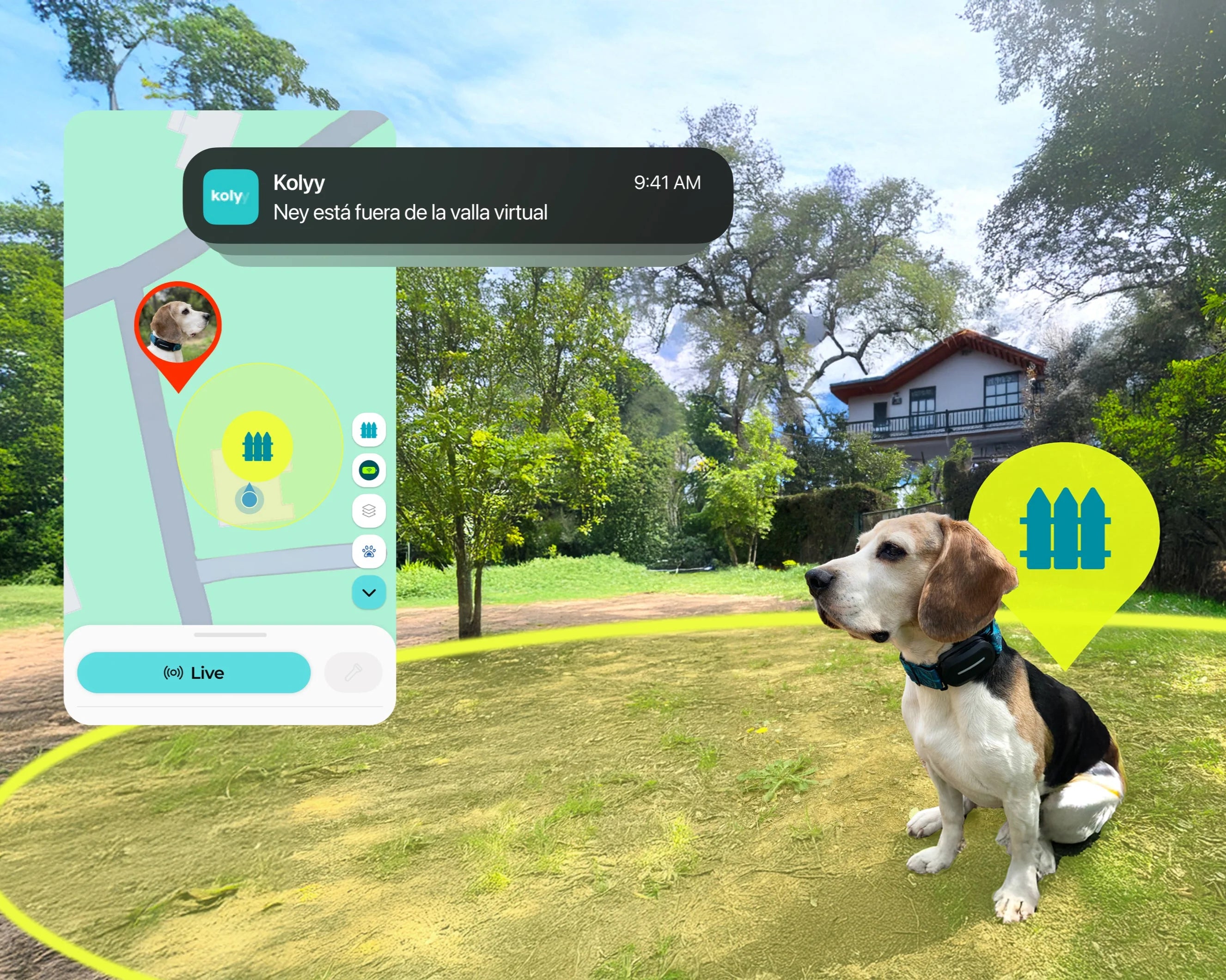 COLLARES GPS PARA PERROS Y GATOS